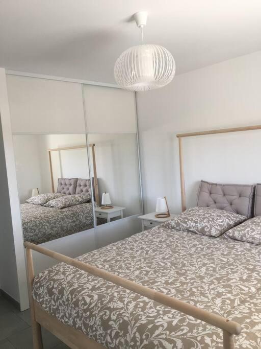 Gite Lumineux Et Confortable Dans Un Mas Provencal Courthézon Eksteriør billede